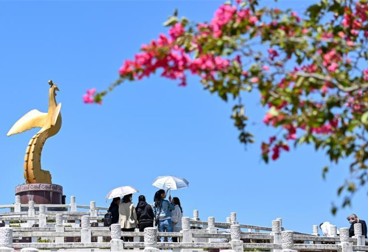 廣州市民有序祭掃