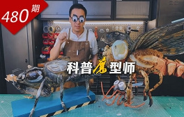 玩物立志系列：科普魔型師